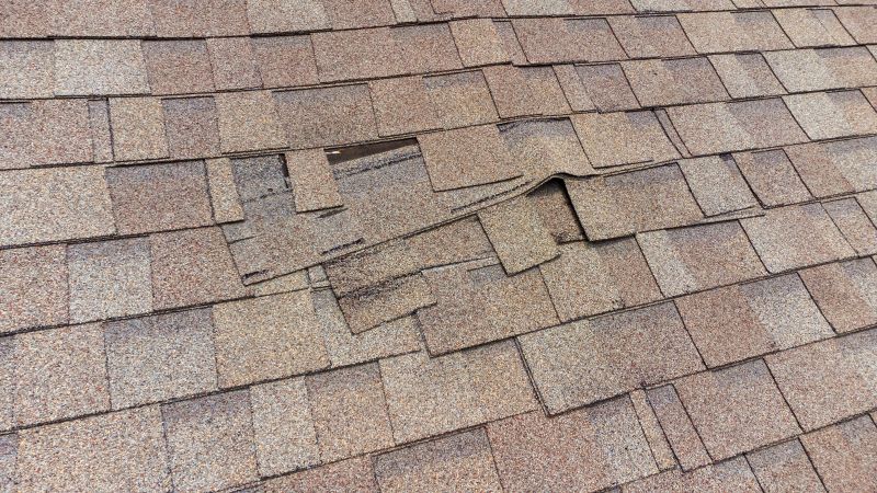 Shingle Restoration