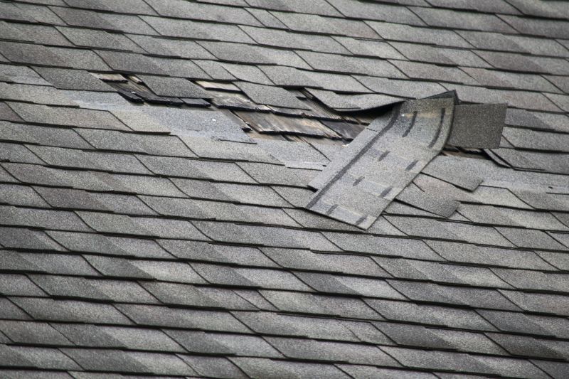 Cracked Shingle Fix